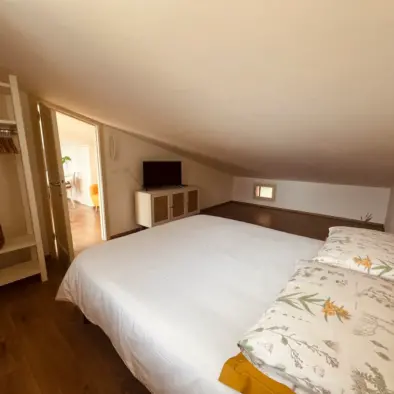 Mansarda degli ulivi. La casa di Carla appartamenti a Portoferraio per vacanze all'isola d'Elba.